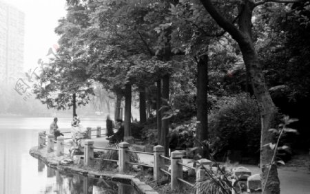 上海鲁迅公园湖景图片