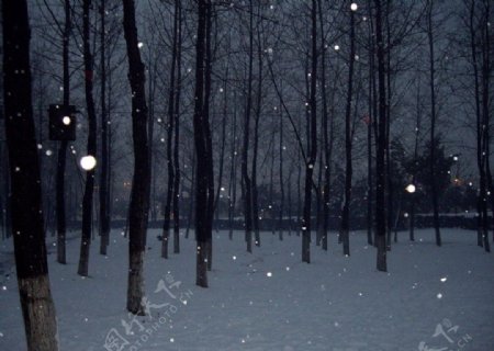 雪景野外自然景观实拍图片