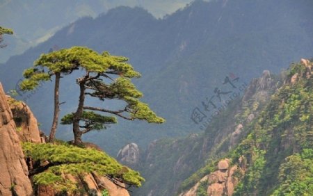 祖国名山黄山美景图片