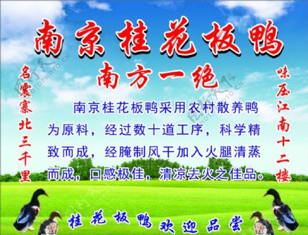 南京桂花板鸭图片