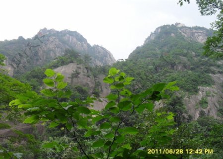 黄山奇松怪石云海图片