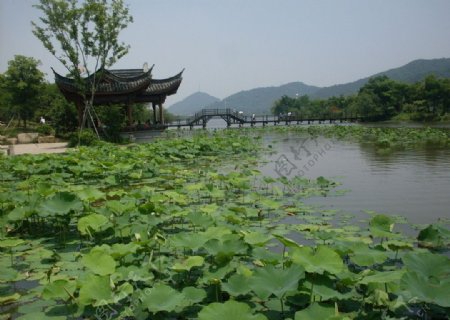 湘湖景观图片