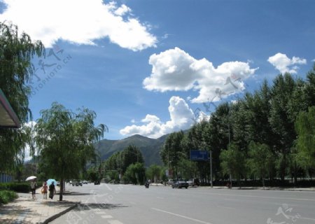西藏2010年雪顿节图片