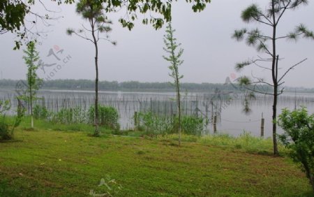 汾湖河边图片
