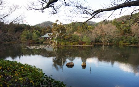 龙安寺前的水池图片