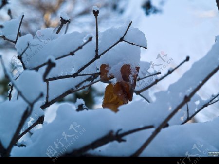 冰雪世界图片