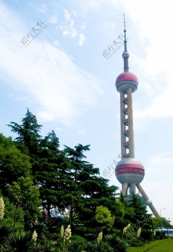 上海浦东东方明珠塔图片