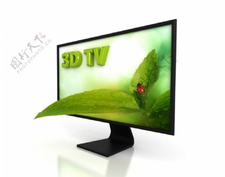 3d动感彩色电视机绿叶瓢虫图片