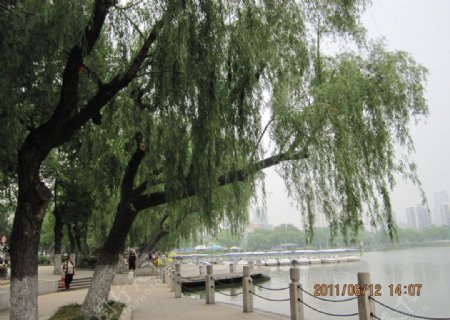 莫愁湖公园图片