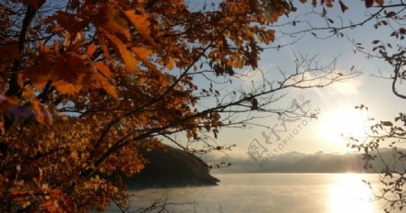 松花湖的秋天图片