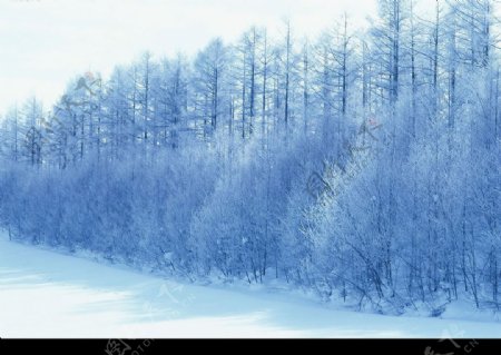 雪景素材高精度摄影照片图片