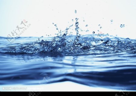 水之纯图片