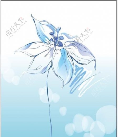 一支蓝花朵图片