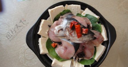 青鱼炖豆腐图片