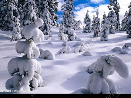 冬雪图图片