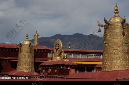 西藏之行美图2图片