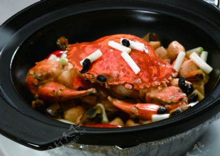 干锅螃蟹图片
