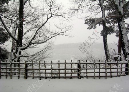 雪中一景图片