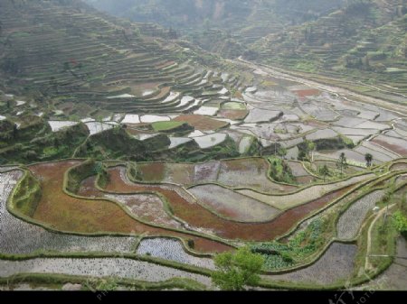 五色梯田图片