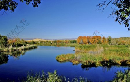 新疆白沙湖景色图片
