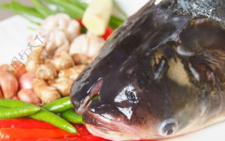 真味砂锅鱼头图片