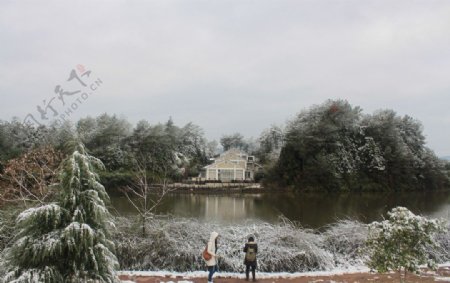 梦幻校园雪景图片