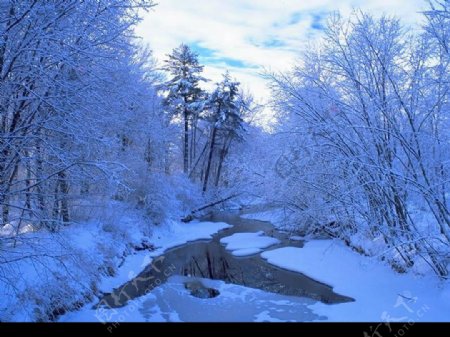 雪景河边5图片