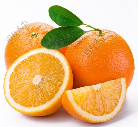 柳橙图片