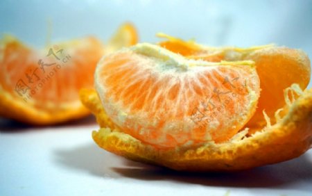 橘子桔子图片