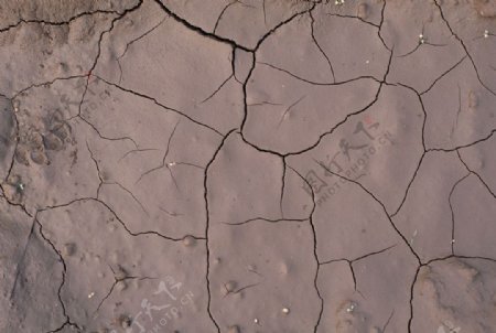 裂缝地面图片