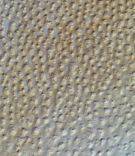 阿尔及利亚星形沙丘图片