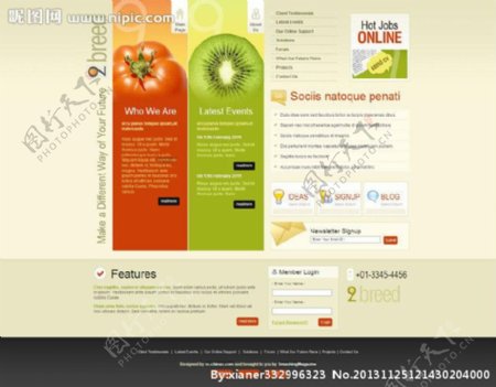 水果蔬菜css模板图片