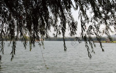 湖边景色图片