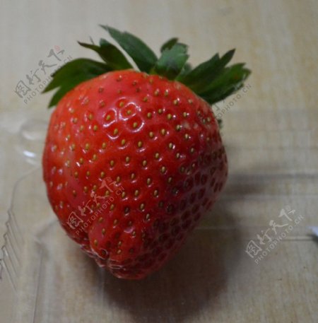 一粒草莓细节图图片