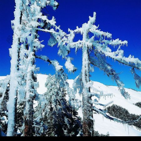 皑皑雪山图片