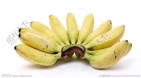 香蕉菲律宾香蕉图片