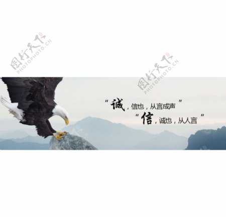 banner大图图片