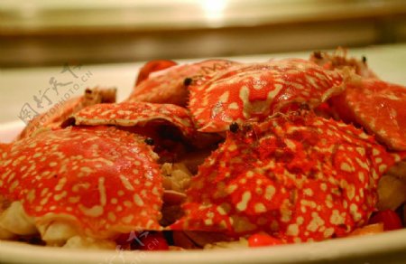 秋蟹饗宴图片