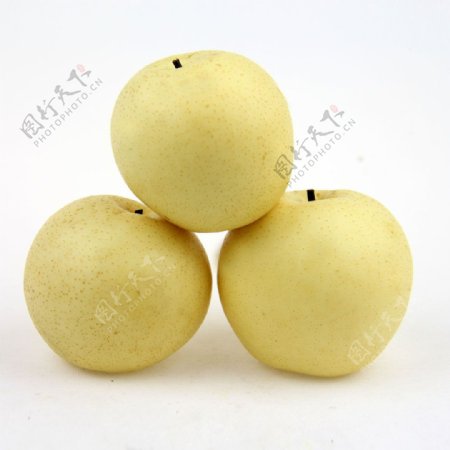 皇冠梨梨水果黄色图片