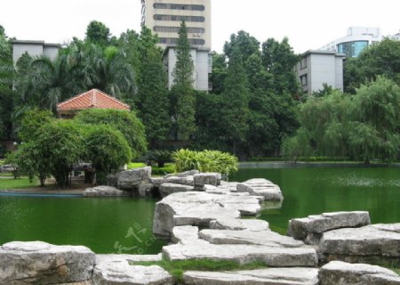 广州公园一角图片