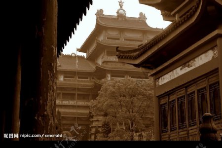 大智禅寺图片