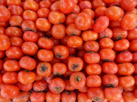 软柿子图片
