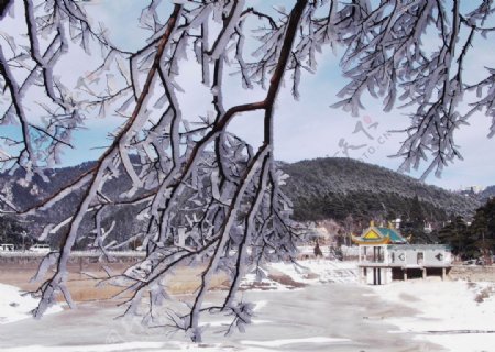 庐山如琴湖之冬图片