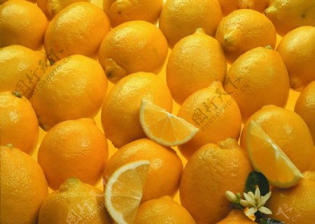 柠檬lemon图片