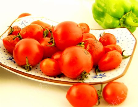 小西红柿高清晰水果写真图片