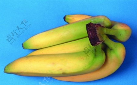 健康食品香蕉水果图片