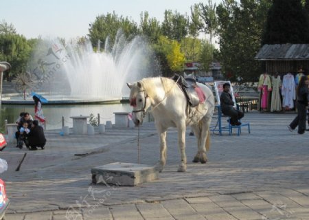 白马喷泉旅游景观图片