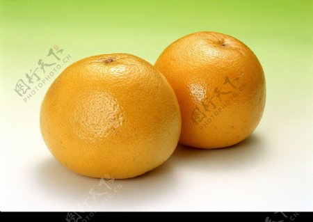 橙子9图片