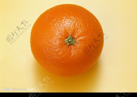 橙子6图片