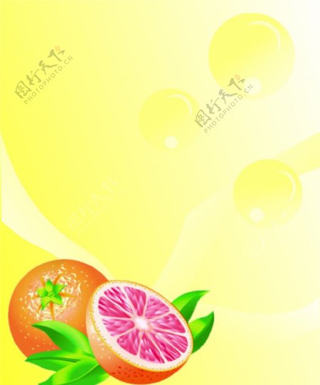 黄色橘子背景图片